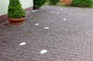 DSCF2762