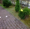 DSCF2765