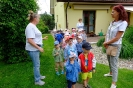 Pszczółki odwiedzają alpaki - 24.06.2025
