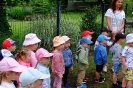 Pszczółki odwiedzają alpaki - 24.06.2025