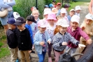 Pszczółki odwiedzają alpaki - 24.06.2025
