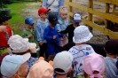 Pszczółki odwiedzają alpaki - 24.06.2025
