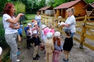 Pszczółki odwiedzają alpaki - 24.06.2025