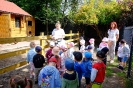 Pszczółki odwiedzają alpaki - 24.06.2025