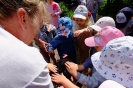 Pszczółki odwiedzają alpaki - 24.06.2025