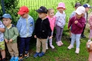 Pszczółki odwiedzają alpaki - 24.06.2025