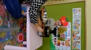 DSCF6641