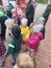 IMG-20250514-WA0036