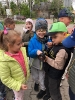 Skrzaty i Delfinki poznają pracę strażaka- 09.05.2025 r.