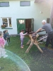 Skrzaty na warsztatach edukacyjnych u Pana Włodzimierza Ciszka