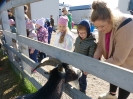 Skrzaty w Umianowicach 01.10.2024