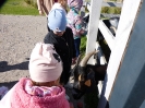 Skrzaty w Umianowicach 01.10.2024