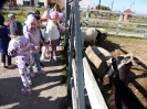 Skrzaty w Umianowicach 01.10.2024