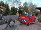 IMG_20241202_150247