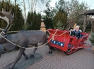 IMG_20241202_150427