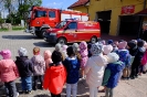 Smerfy i Pszczółki poznają pracę strażaka - 09.05.2025r.