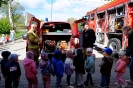 Smerfy i Pszczółki poznają pracę strażaka - 09.05.2025r.
