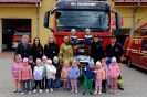 Smerfy i Pszczółki poznają pracę strażaka - 09.05.2025r.