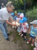 Smerfy odwiedzają alpaki - 23.06.2025