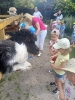 Smerfy odwiedzają alpaki - 23.06.2025