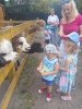 Smerfy odwiedzają alpaki - 23.06.2025