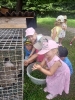 Smerfy odwiedzają alpaki - 23.06.2025