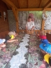 Smerfy odwiedzają alpaki - 23.06.2025