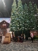 IMG-20250524-WA0093