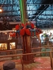 IMG-20250524-WA0113