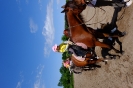 DSCF4019