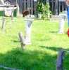 DSCF4151