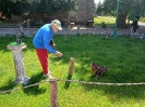 Wycieczka przedszkolaków - Biedronki - 27.05.2025