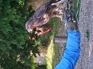 Wycieczka przedszkolaków - Delfinki - 27.05.2025