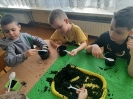 Zielony ogródek w sali Delfinków 21.03.2025