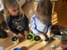 Zielony ogródek w sali Delfinków 21.03.2025