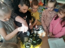 Zielony ogródek w sali Delfinków 21.03.2025