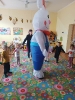 IMG-20260414-WA0071