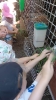 IMG-20260625-WA0019