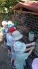 IMG-20260625-WA0022