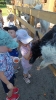 IMG-20260625-WA0026