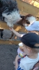 IMG-20260625-WA0027