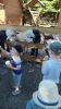 IMG-20260625-WA0028