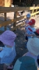IMG-20260625-WA0031