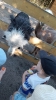 IMG-20260625-WA0033