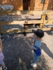 IMG-20260625-WA0034
