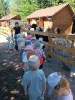 IMG-20260625-WA0035