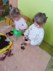 IMG_20260317_091905