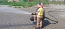 Skrzaty i Delfinki w OSP Suchedniów - 06.05.2026