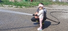 Skrzaty i Delfinki w OSP Suchedniów - 06.05.2026