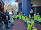 Smerfy i Pszczółki w OSP Suchedniów 06.05.2026